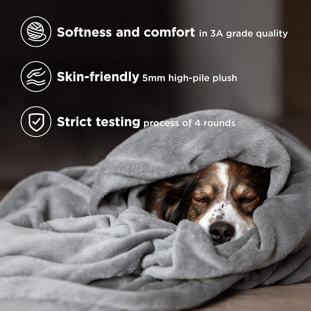 Grey Ultra-Soft Coral Fleece Blanket – Lightweight Summer Throw for Office Naps, Air Conditioning, and Cozy Home Use(200*230cm)
