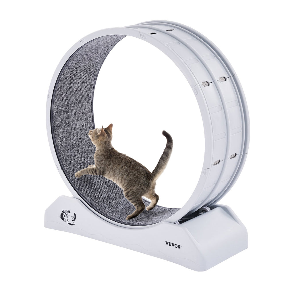 Cat Exercise Wheel, 31.5 in, Large Cat Running Wheel with Secure Brake & Carpeted Runway, Quiet Operation Cat Treadmill, Indoor Cats Exerciser Wheel for Pets Weight Loss & Health White