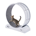 Cat Exercise Wheel, 31.5 in, Large Cat Running Wheel with Secure Brake & Carpeted Runway, Quiet Operation Cat Treadmill, Indoor Cats Exerciser Wheel for Pets Weight Loss & Health White