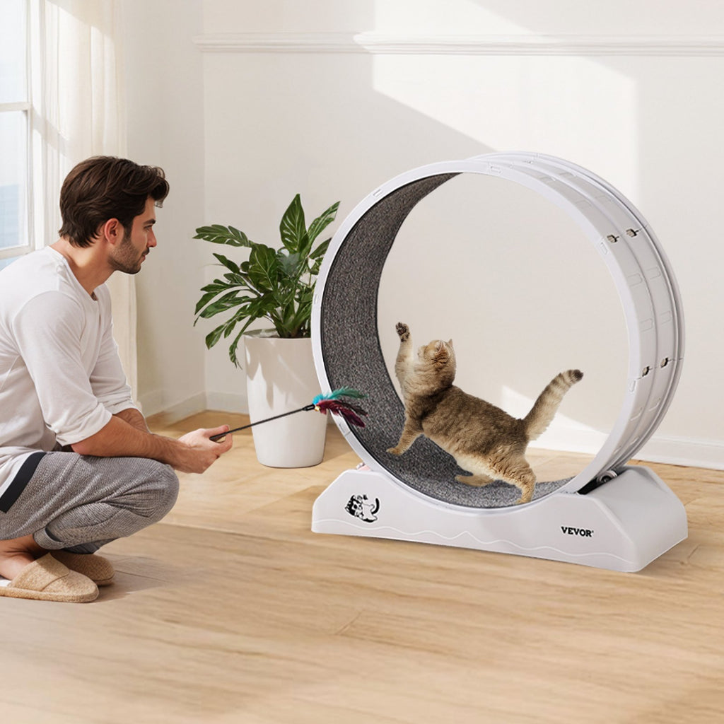 Cat Exercise Wheel, 31.5 in, Large Cat Running Wheel with Secure Brake & Carpeted Runway, Quiet Operation Cat Treadmill, Indoor Cats Exerciser Wheel for Pets Weight Loss & Health White