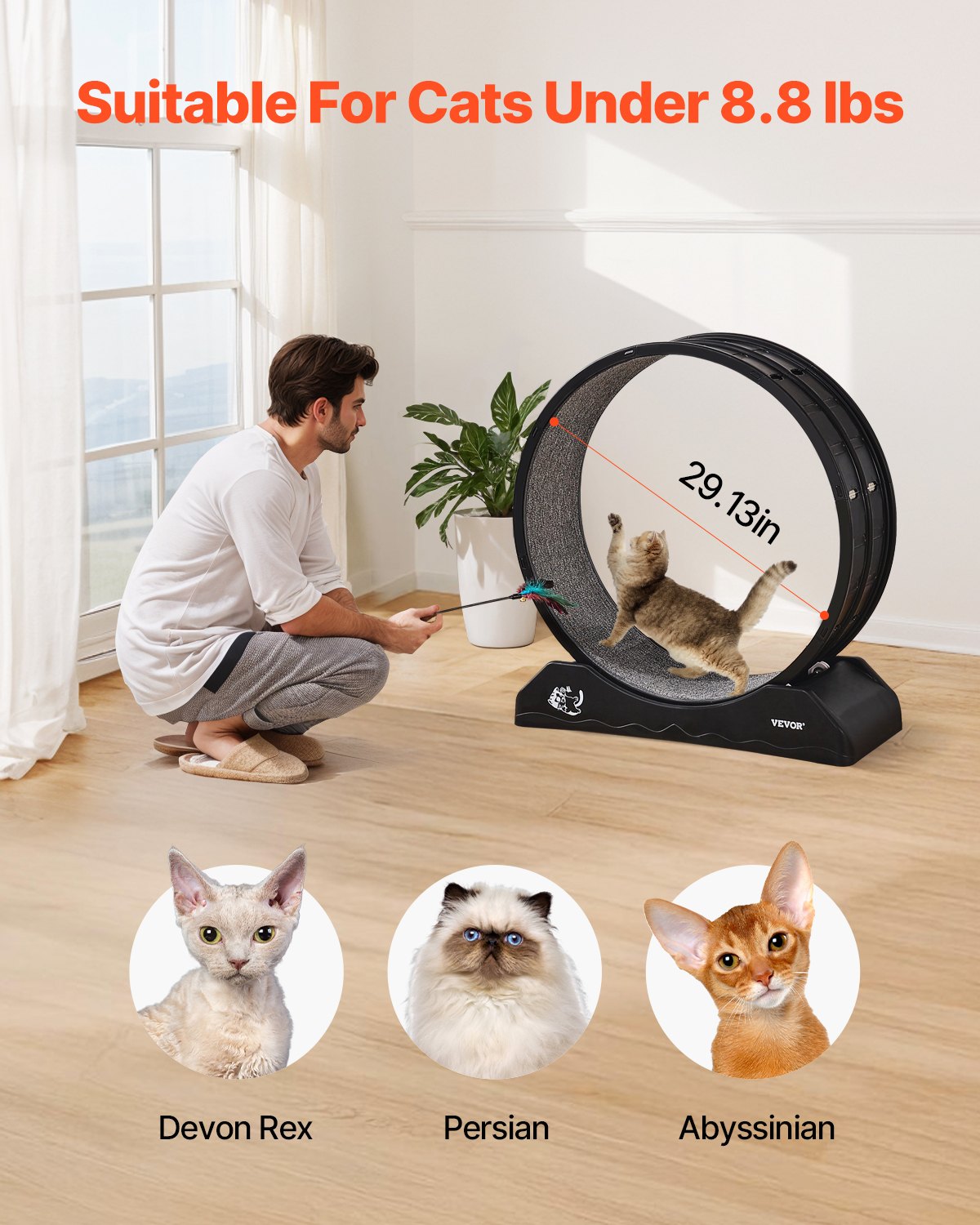 Cat Exercise Wheel, 31.5 in, Large Cat Running Wheel with Secure Brake & Carpeted Runway, Quiet Operation Cat Treadmill, Indoor Cats Exerciser Wheel for Pets Weight Loss & Health Black